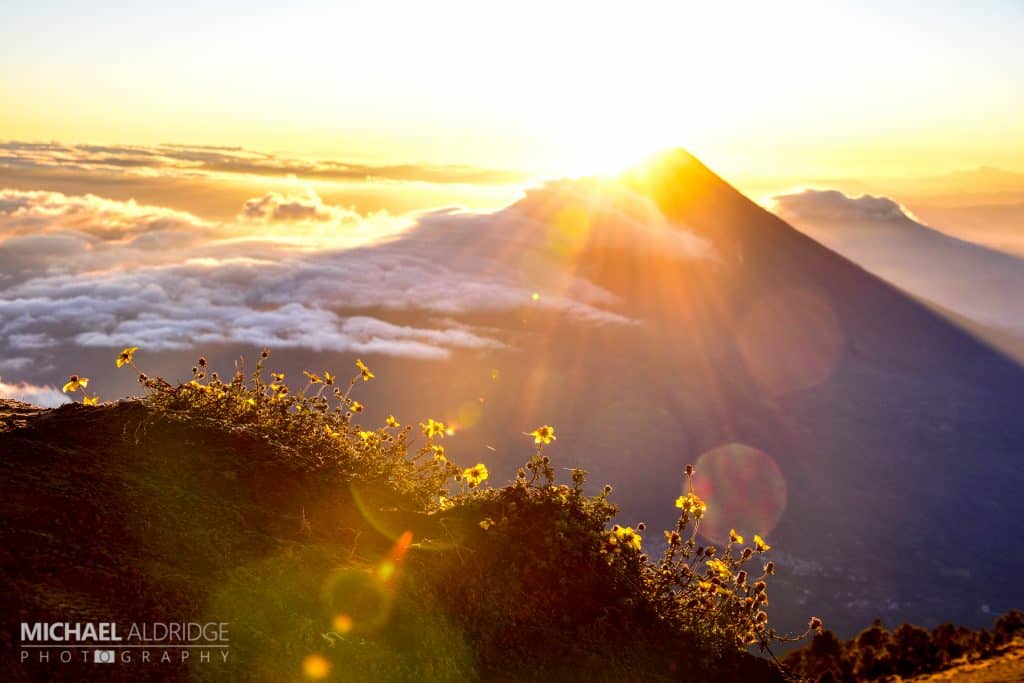 Acatenango Volcano Sunrise Meadow