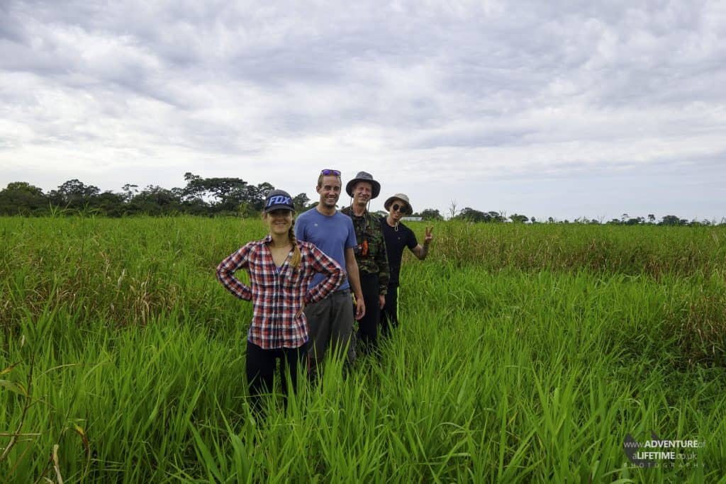 In the Wet Lands searching for Anaconda