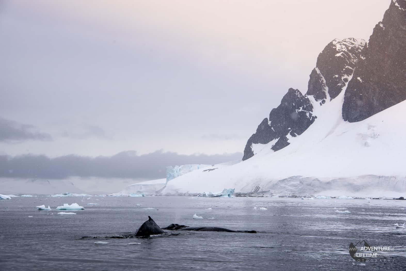 Beautiful Errera Channel in Antarctica