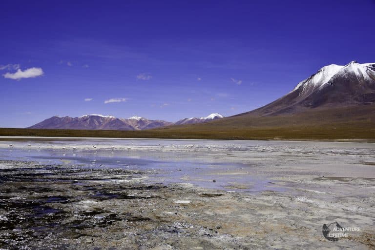 Flamingo Lake in Bolivia
