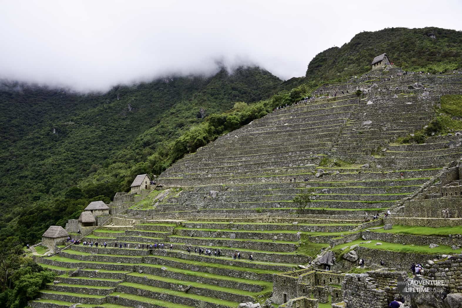 Machu Picchu Terrances