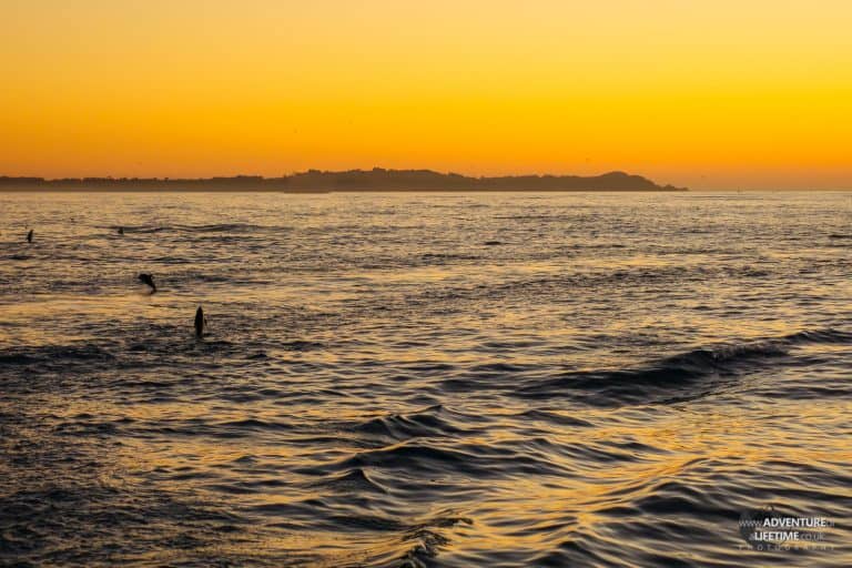 Kaikoura Sunrise with Dolphins