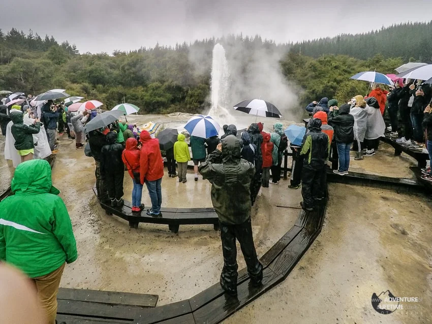 Lady Knox Geyser