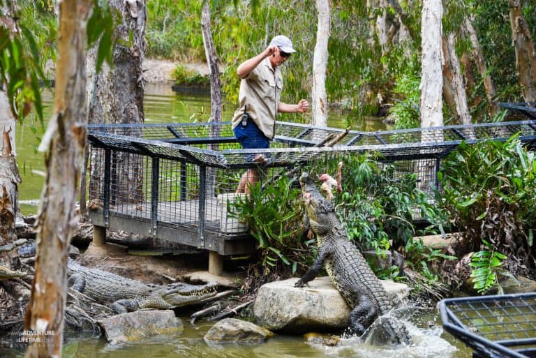 Hartley's Croc Park