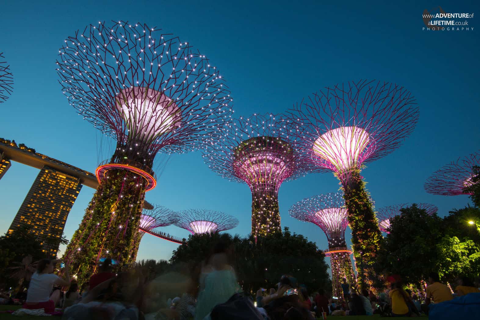 Gardens By The Bay At Dusk
