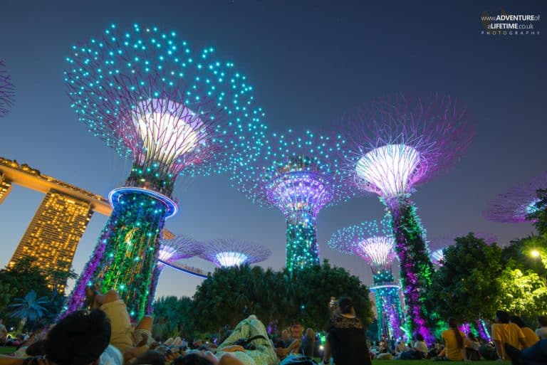 Gardens By The Bay At Night Blue Light