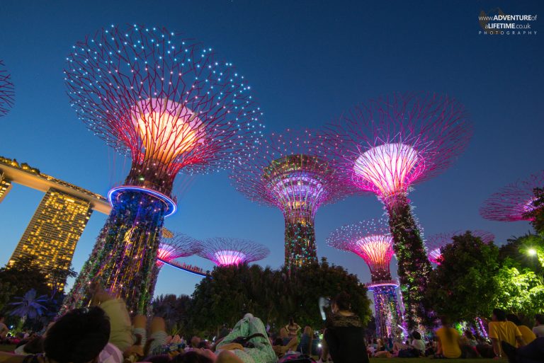 Gardens By The Bay At Night