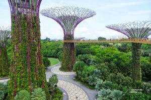 Gardens By The Bay Singapore