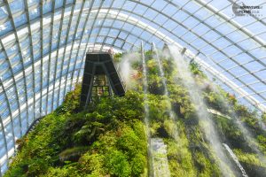 The Cloud Forest Gardens By The Bay